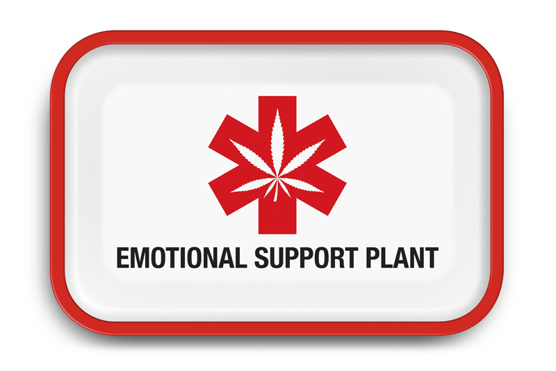 Emotional Support Plant Rolling Tray